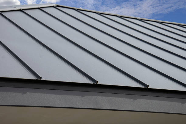 Best Roof Moss and Algae Removal  in East Pepperell, MA