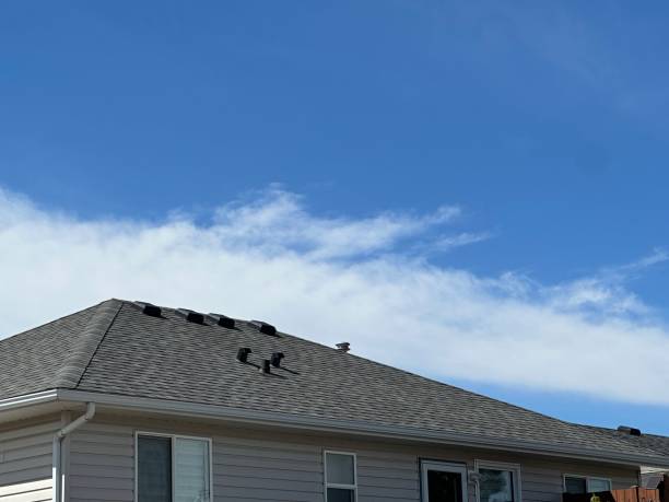 Best Gutter Installation and Repair  in East Pepperell, MA